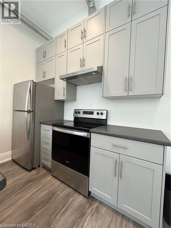 11 Queen Street Unit# 206, Brantford, Ontario  N3T 3B1 - Photo 3 - 40776082