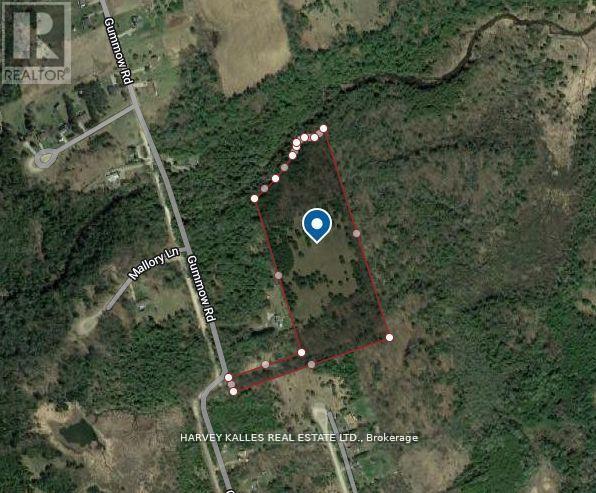 79 Gummow Road, Trent Hills (Warkworth), Ontario  K0K 3K0 - Photo 3 - X12442309
