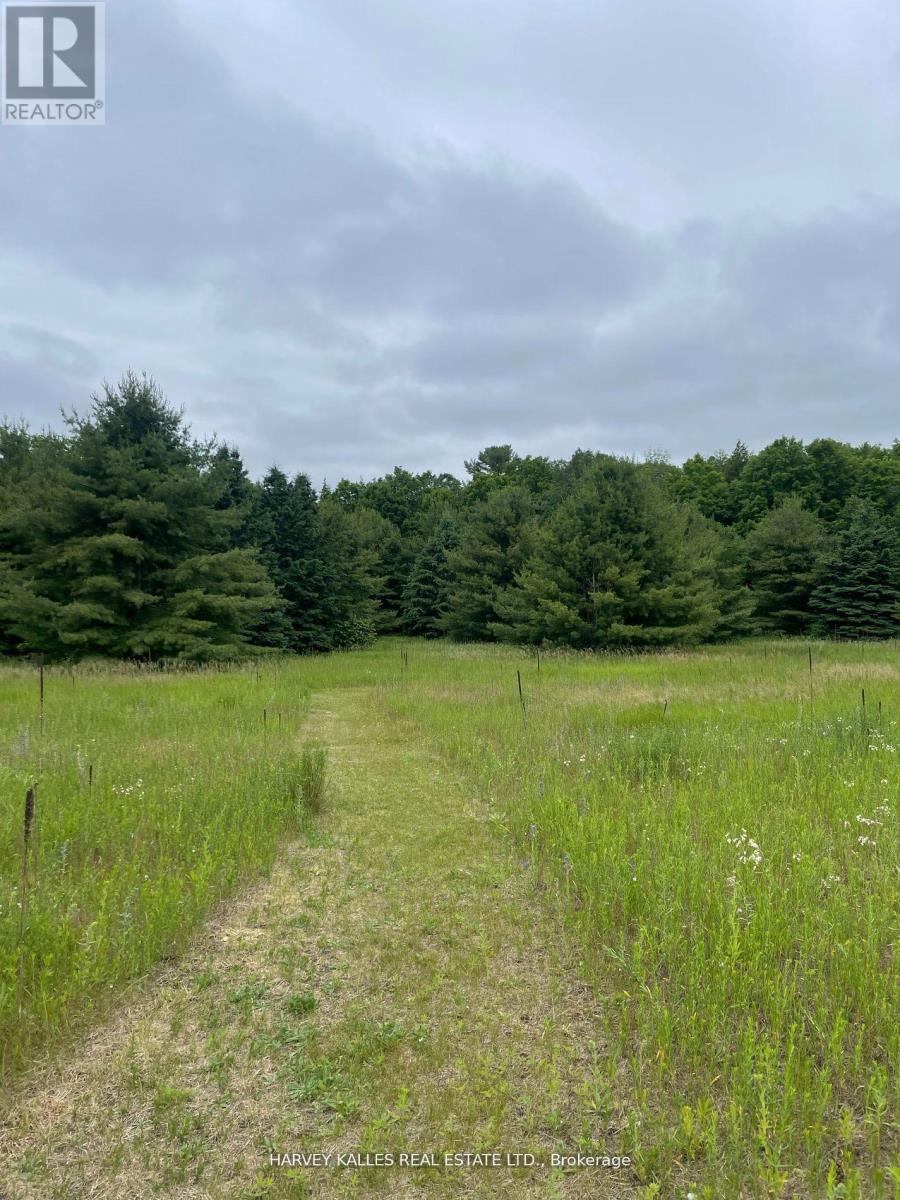 79 Gummow Road, Trent Hills (Warkworth), Ontario  K0K 3K0 - Photo 5 - X12442309