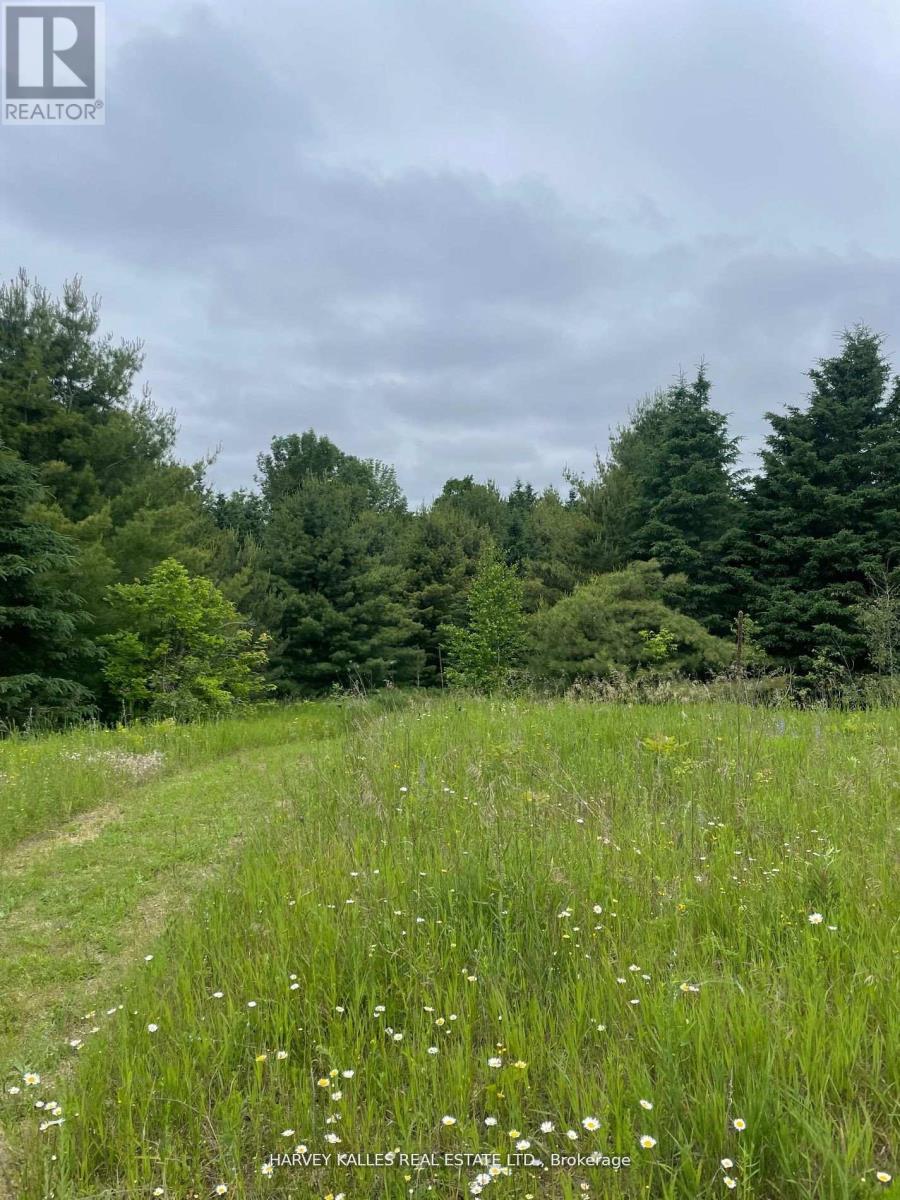 79 Gummow Road, Trent Hills (Warkworth), Ontario  K0K 3K0 - Photo 6 - X12442309