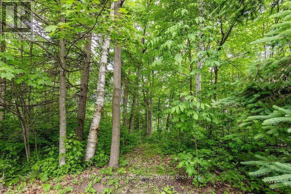 16 Sunward Drive, Wasaga Beach, Ontario  L9Z 1B3 - Photo 7 - S12442588