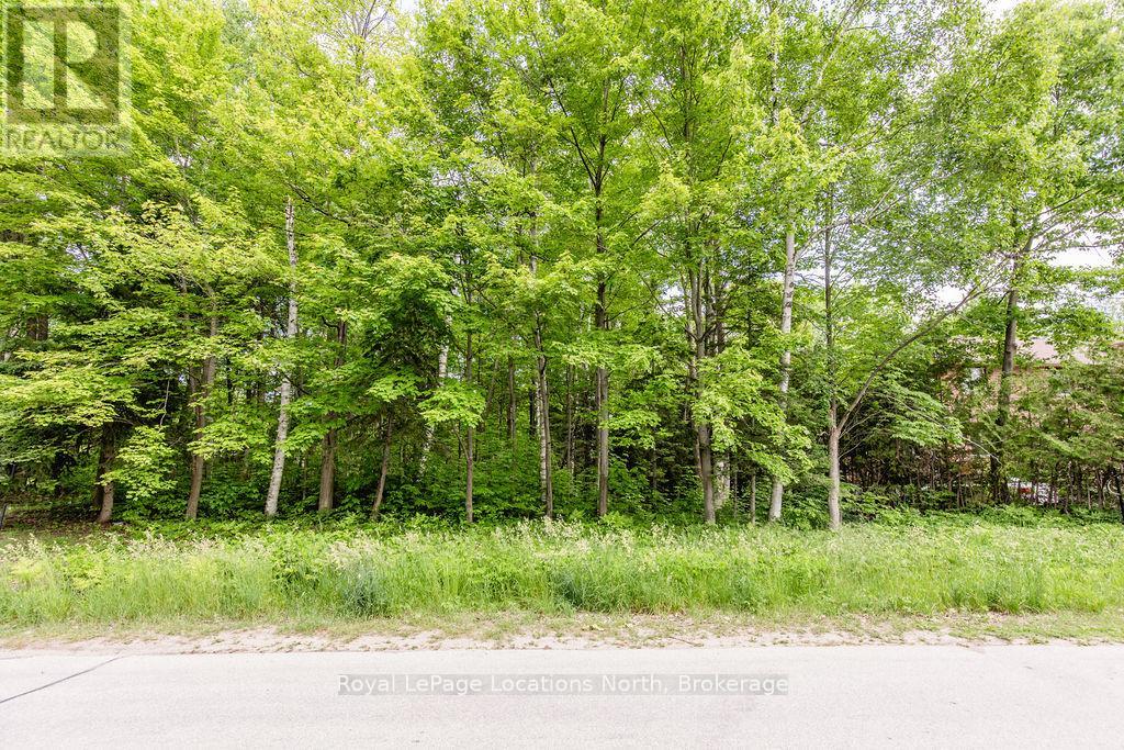 16 Sunward Drive, Wasaga Beach, Ontario  L9Z 1B3 - Photo 8 - S12442588
