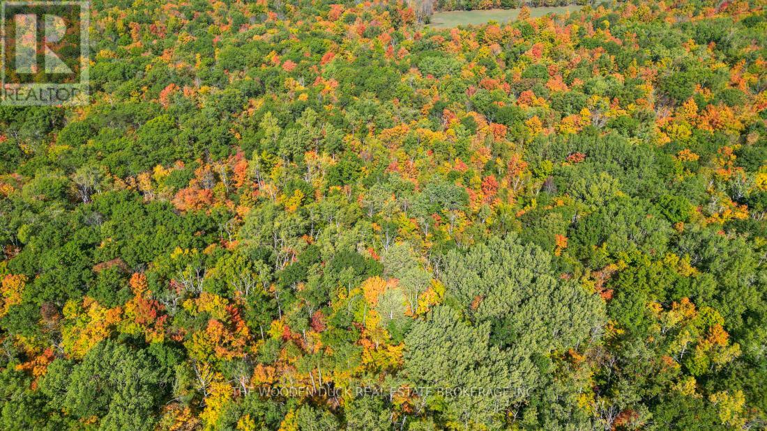 0east1 Road Allowance Road, Havelock-Belmont-Methuen (Belmont-Methuen), Ontario  K0L 1Z0 - Photo 16 - X11953181