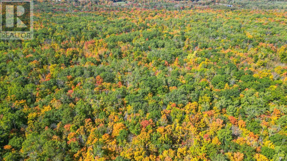0east1 Road Allowance Road, Havelock-Belmont-Methuen (Belmont-Methuen), Ontario  K0L 1Z0 - Photo 18 - X11953181