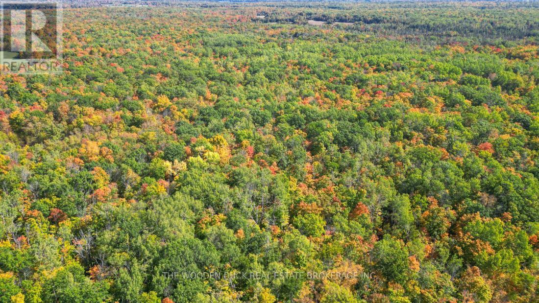 0east1 Road Allowance Road, Havelock-Belmont-Methuen (Belmont-Methuen), Ontario  K0L 1Z0 - Photo 7 - X11953181