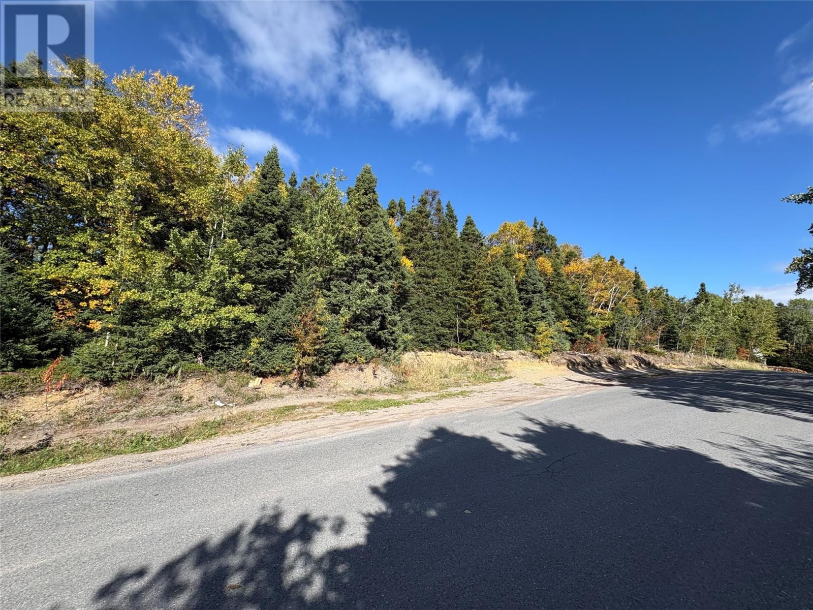 8-10 Peters Cove Road, Bunyans Cove, Newfoundland & Labrador  A0E 1E0 - Photo 2 - 1291180
