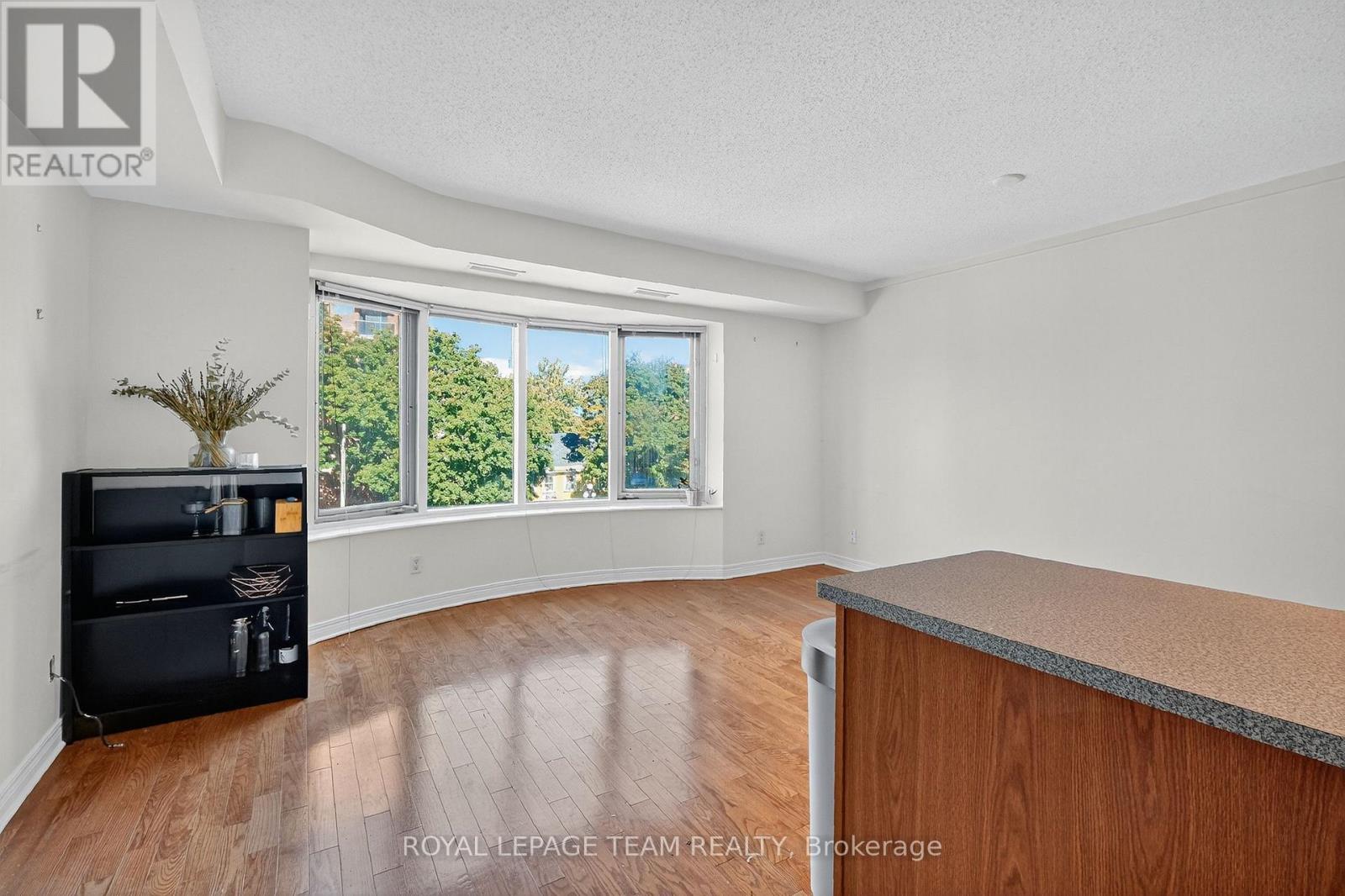 3a - 150 York Street, Ottawa, Ontario  K1N 1K9 - Photo 13 - X12426028