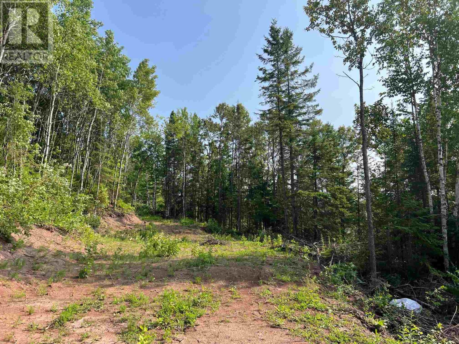 131 Second Line Rd, Sault Ste. Marie, Ontario  P6C 2M4 - Photo 5 - SM252783