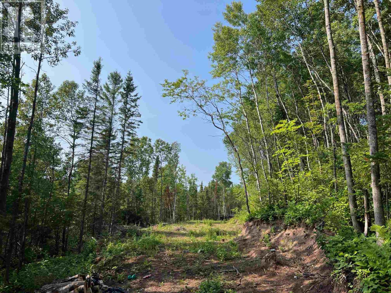 131 Second Line Rd, Sault Ste. Marie, Ontario  P6C 2M4 - Photo 2 - SM252783