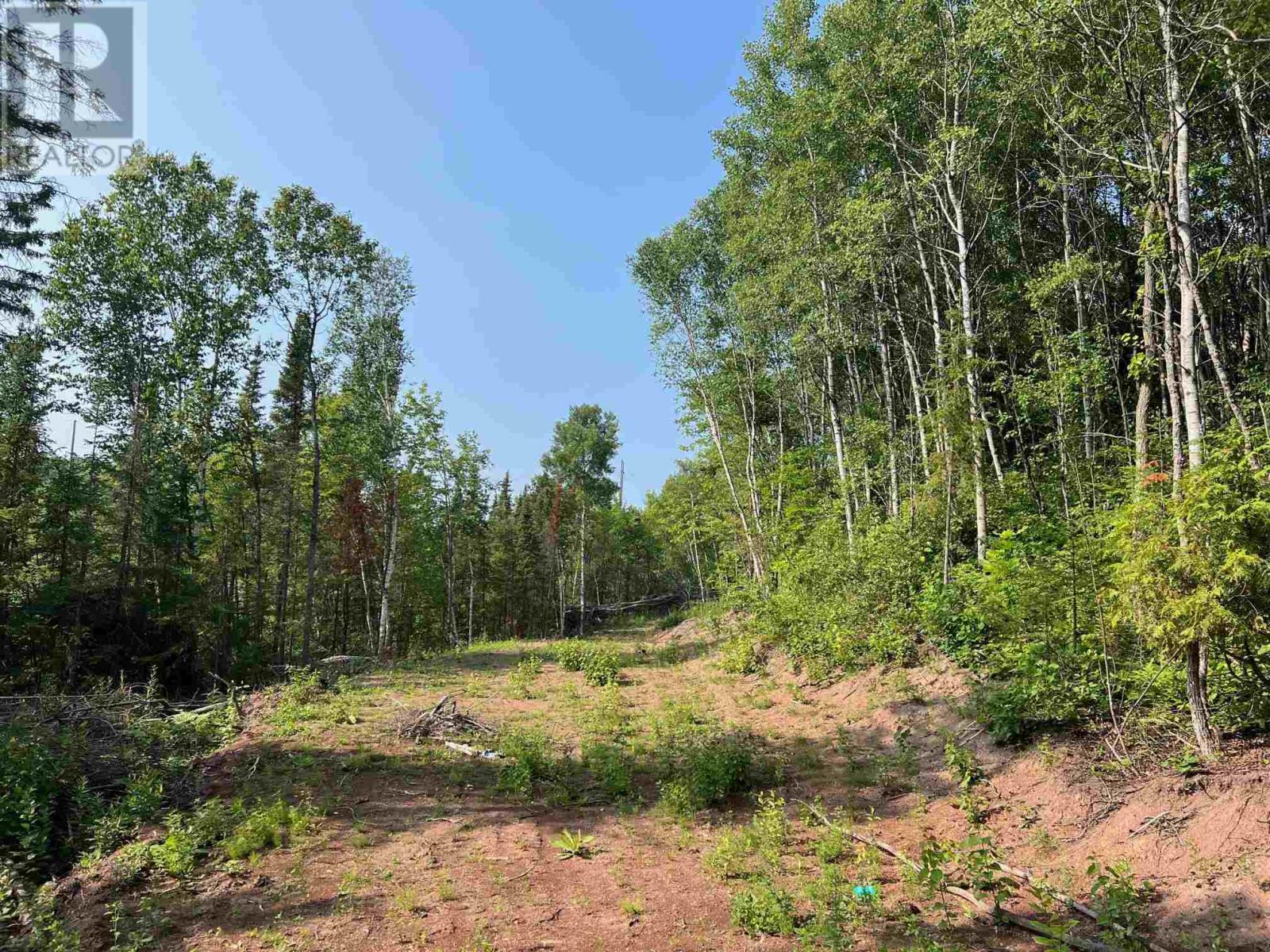 131 Second Line Rd, Sault Ste. Marie, Ontario  P6C 2M4 - Photo 3 - SM252783