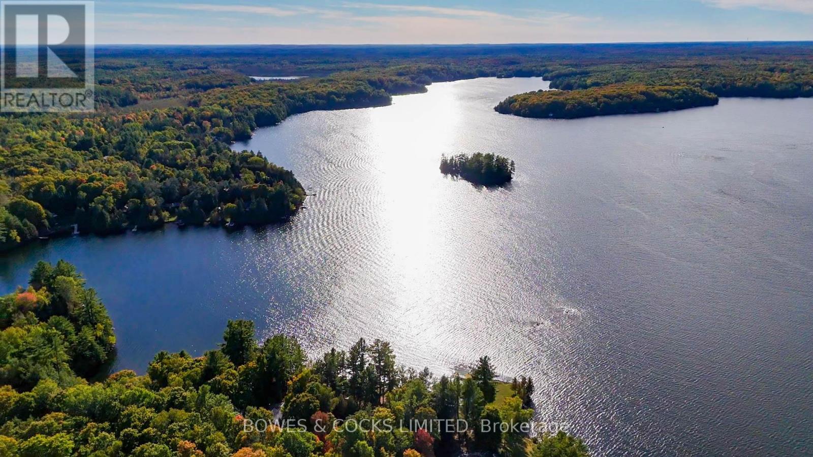 408 Couchs Road, North Kawartha, Ontario  K0L 1A0 - Photo 35 - X12442787