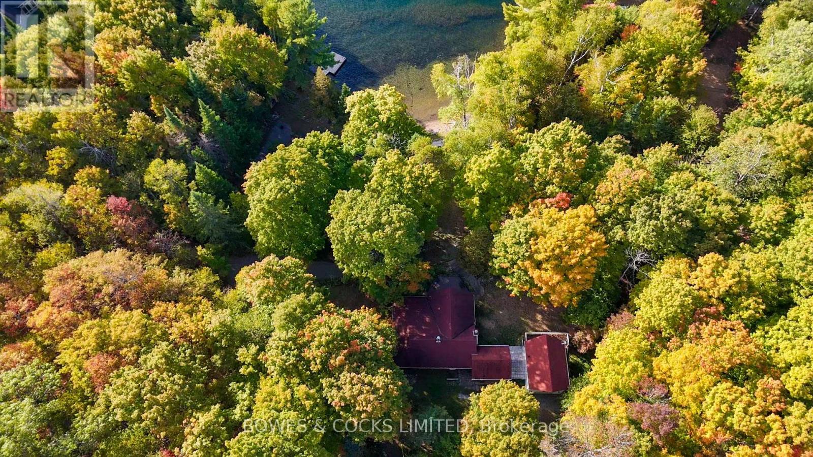 408 Couchs Road, North Kawartha, Ontario  K0L 1A0 - Photo 36 - X12442787