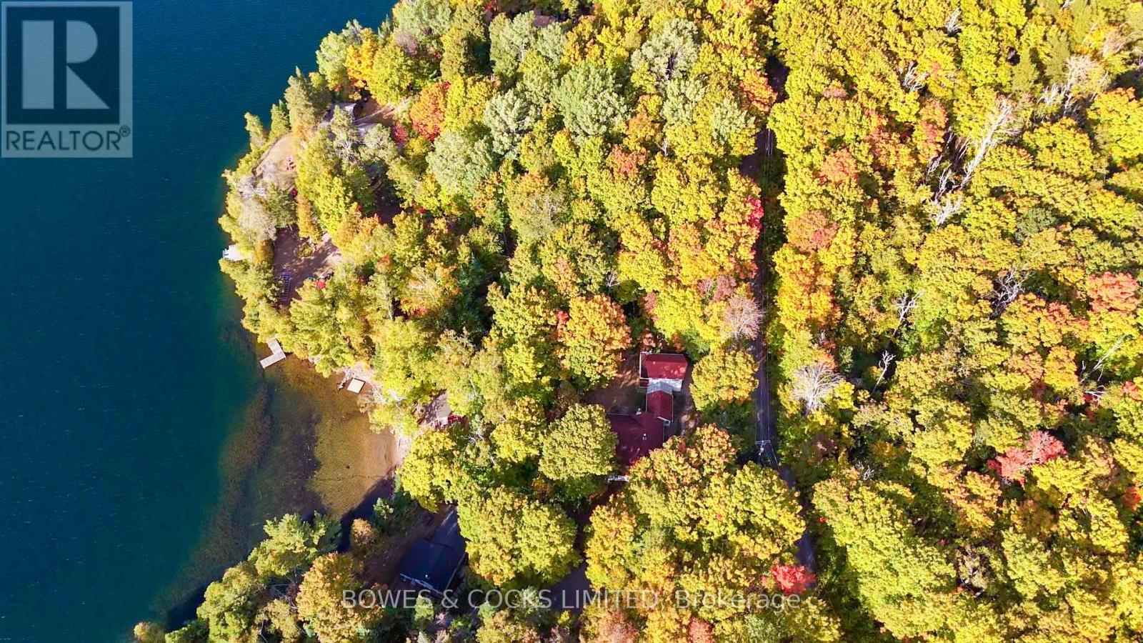 408 Couchs Road, North Kawartha, Ontario  K0L 1A0 - Photo 44 - X12442787