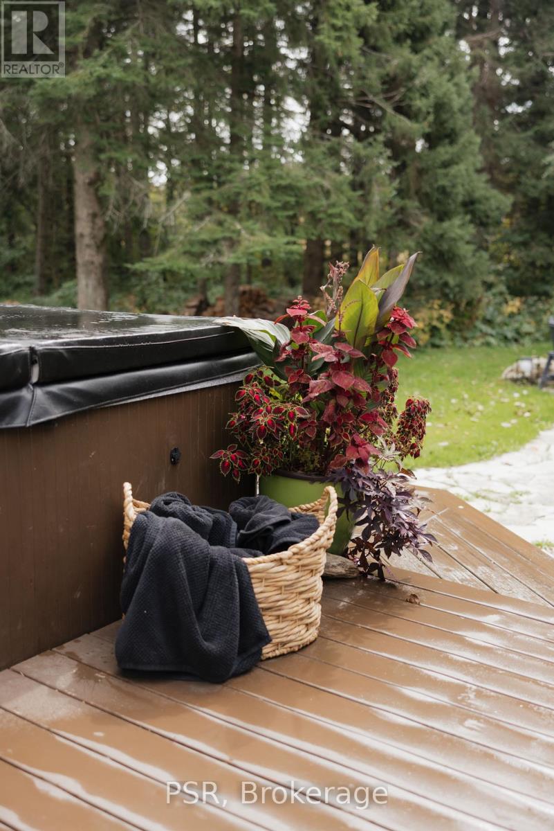 596250 4th Line, Blue Mountains, Ontario  N0H 1J0 - Photo 43 - X12442774