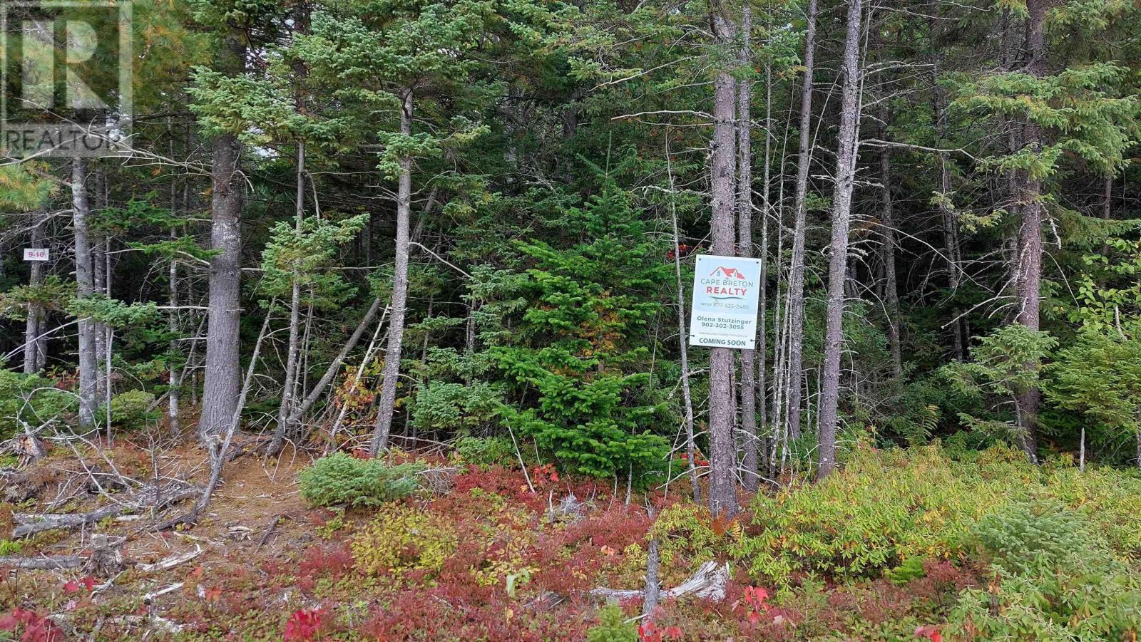Lot 10 Tranquil Shore Rd, Marshes, Nova Scotia  B0E 1V0 - Photo 8 - 202524995
