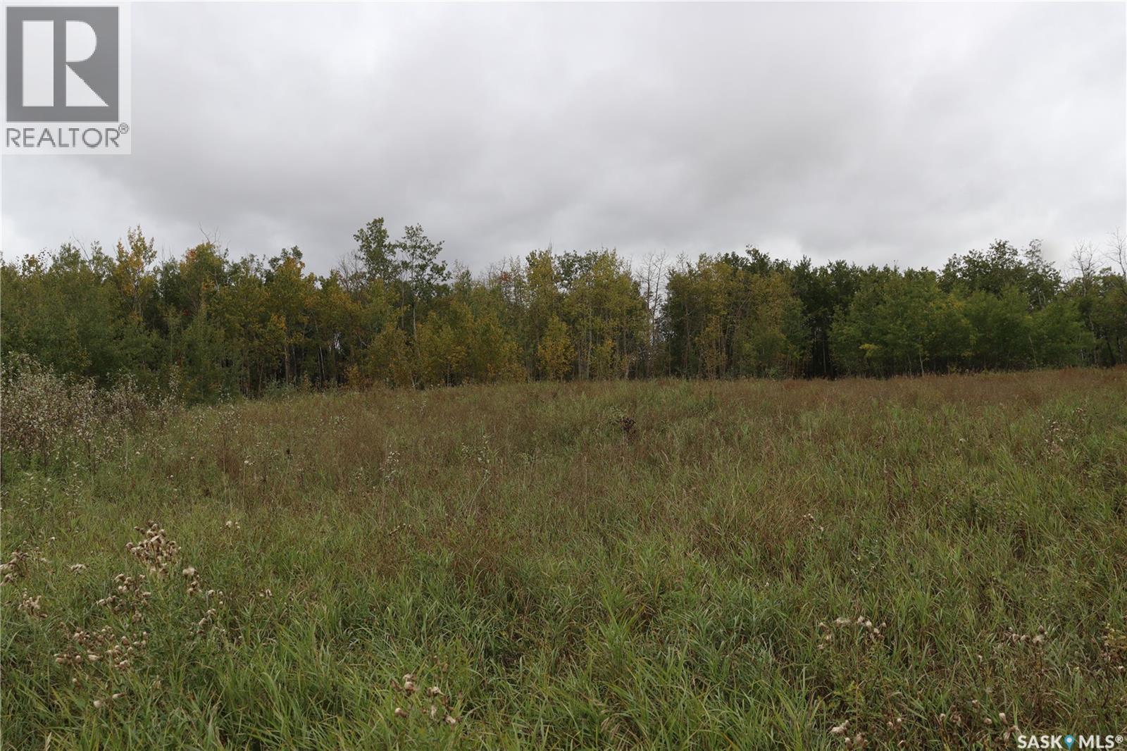 10 Acres Red Deer Hill, Prince Albert Rm No. 461, Saskatchewan  S0K 2S0 - Photo 10 - SK019933