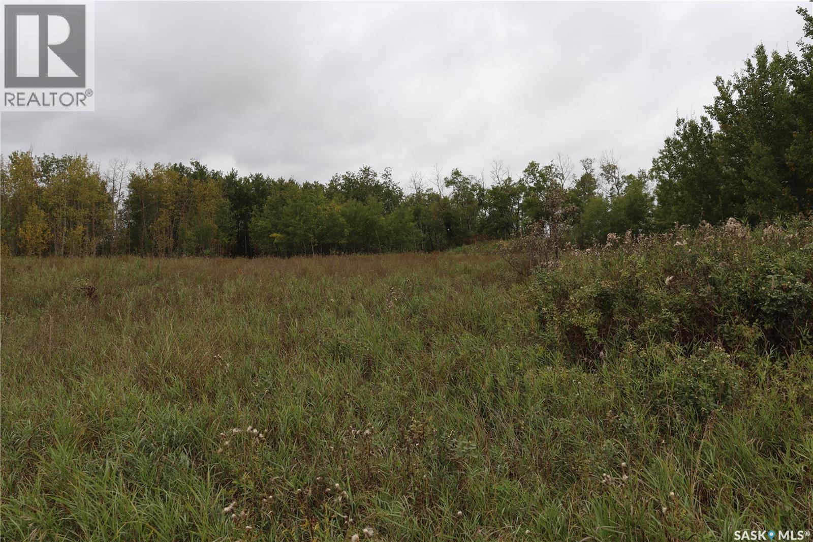 10 Acres Red Deer Hill, Prince Albert Rm No. 461, Saskatchewan  S0K 2S0 - Photo 11 - SK019933