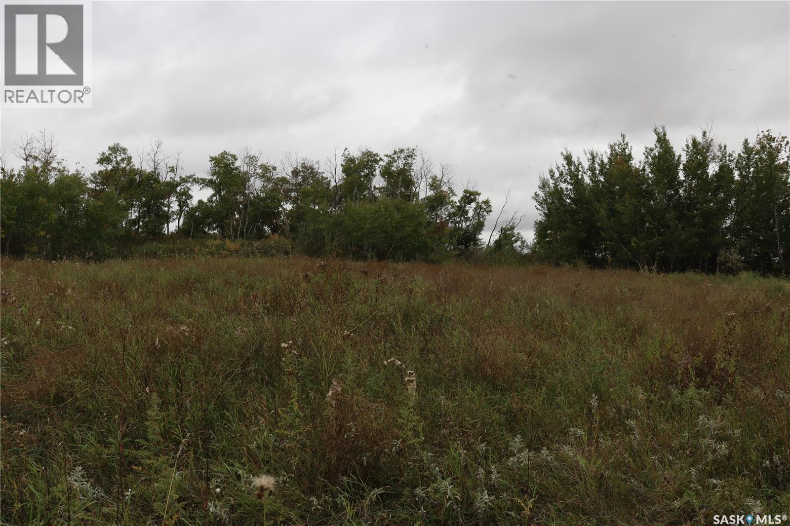 10 Acres Red Deer Hill, Prince Albert Rm No. 461, Saskatchewan  S0K 2S0 - Photo 13 - SK019933