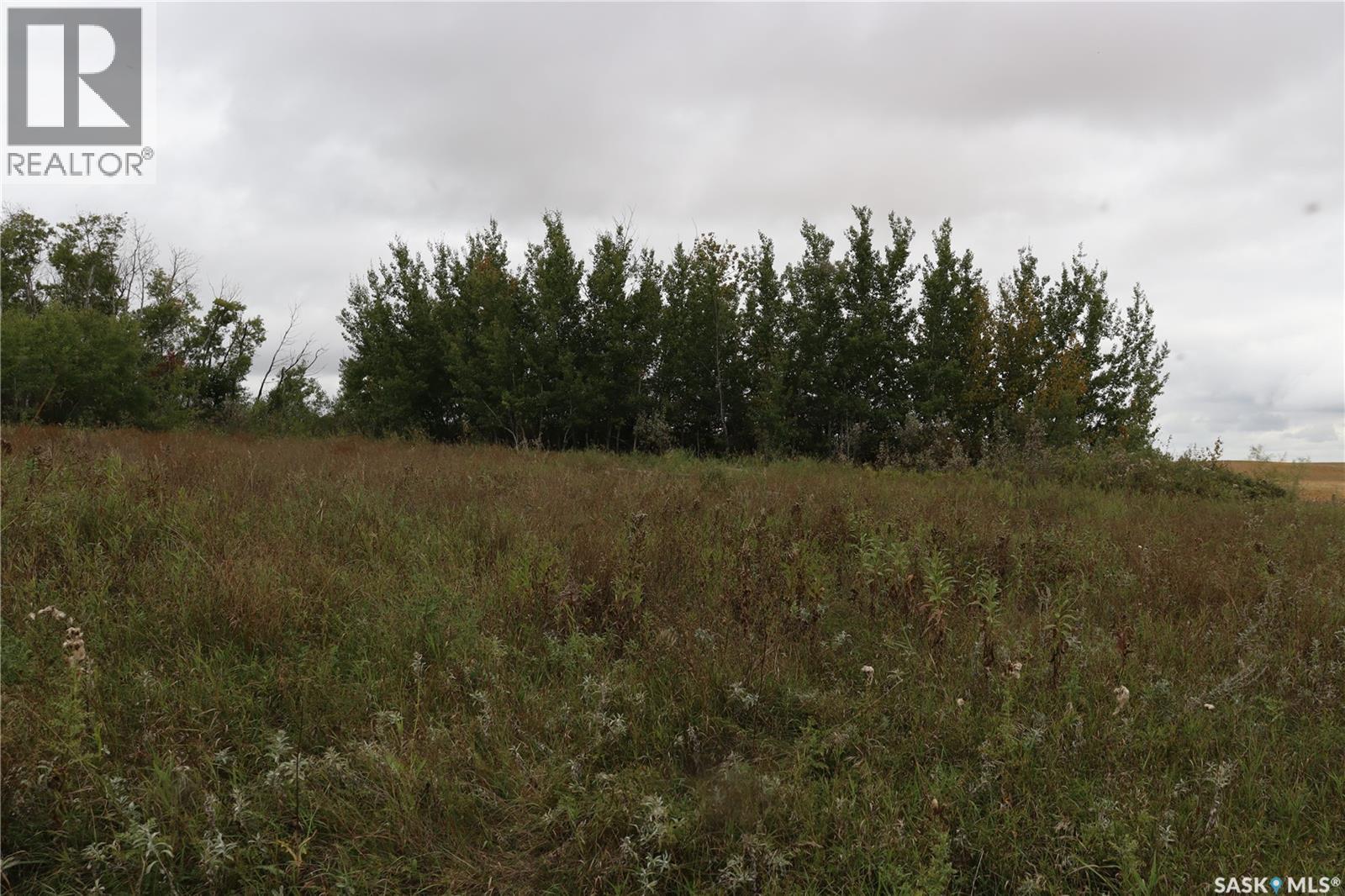10 Acres Red Deer Hill, Prince Albert Rm No. 461, Saskatchewan  S0K 2S0 - Photo 14 - SK019933