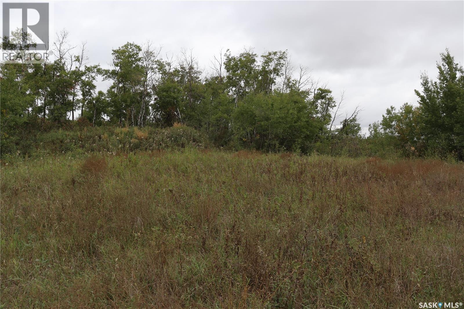 10 Acres Red Deer Hill, Prince Albert Rm No. 461, Saskatchewan  S0K 2S0 - Photo 15 - SK019933