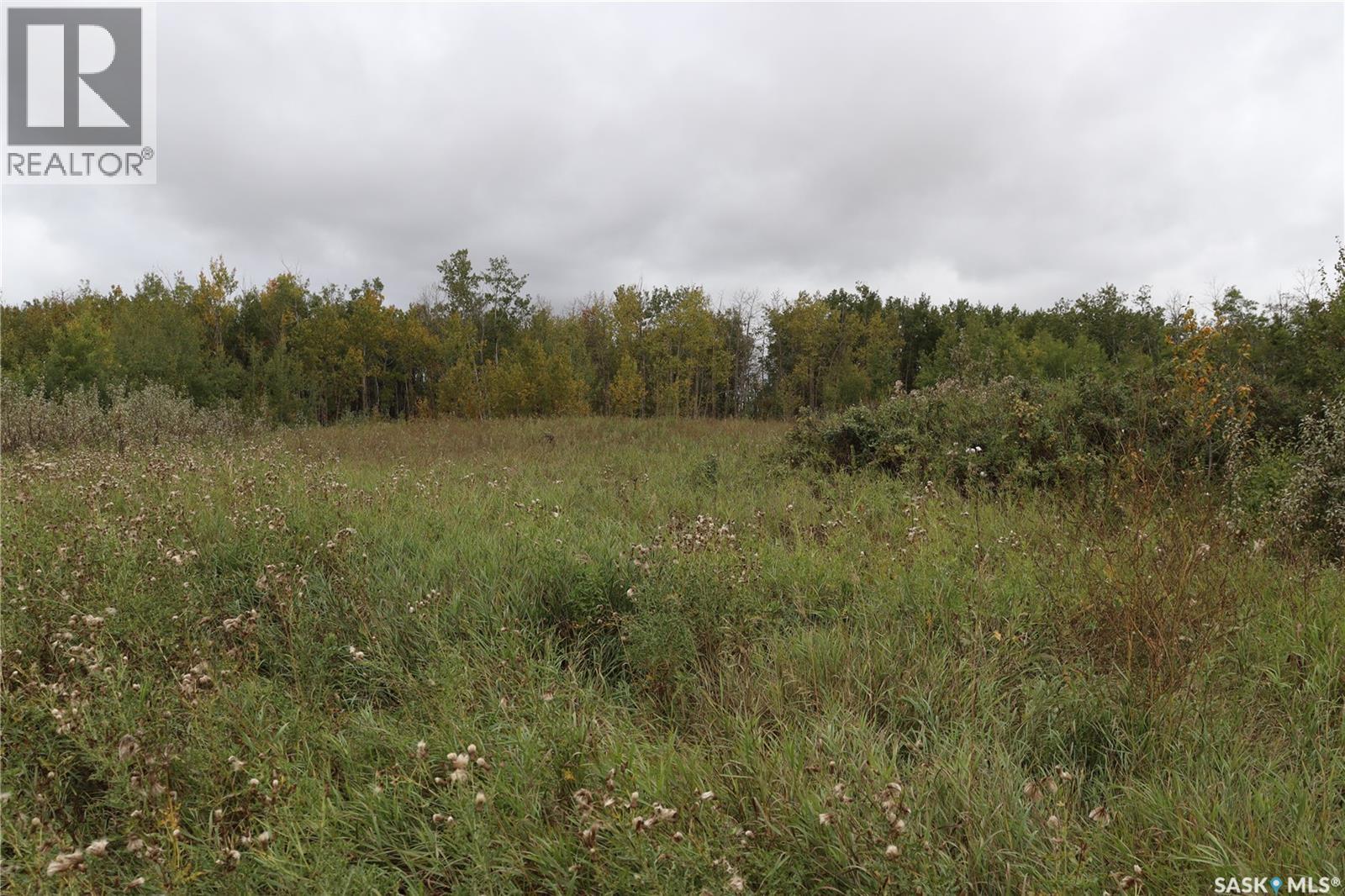 10 Acres Red Deer Hill, Prince Albert Rm No. 461, Saskatchewan  S0K 2S0 - Photo 9 - SK019933