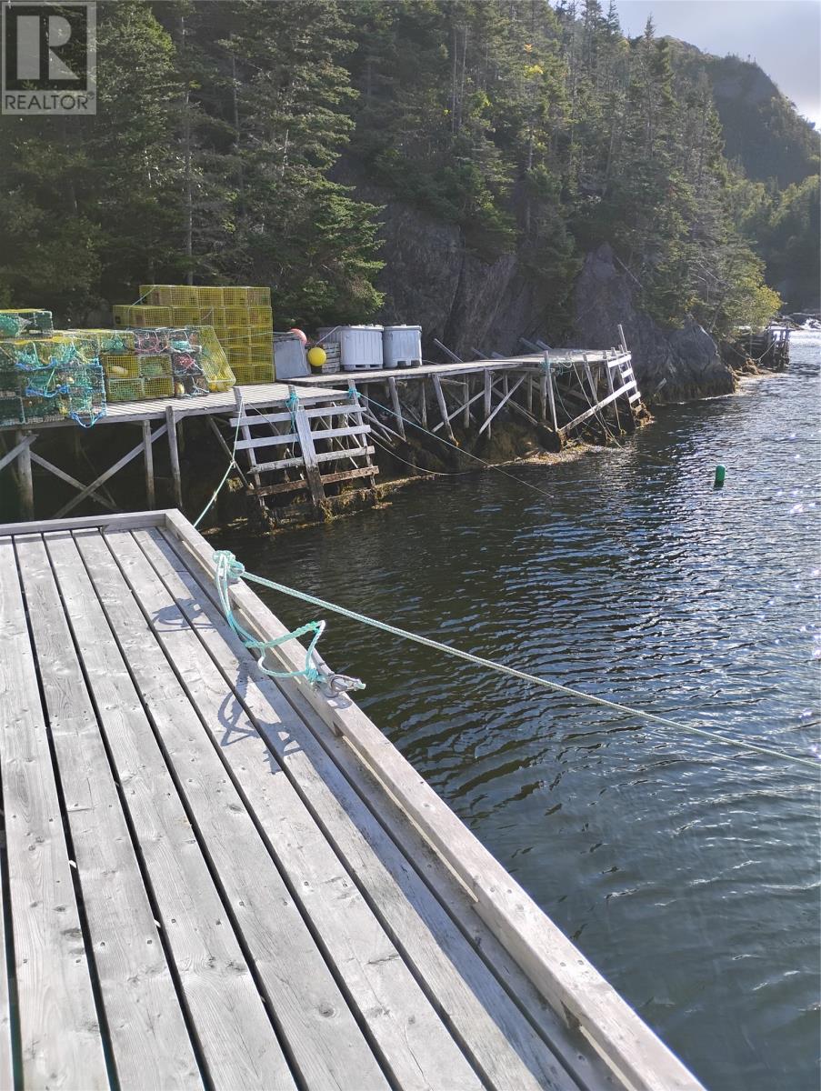 1 Little Harbour Landing, Little Harbour, Newfoundland & Labrador  a0h 2c0 - Photo 4 - 1291176