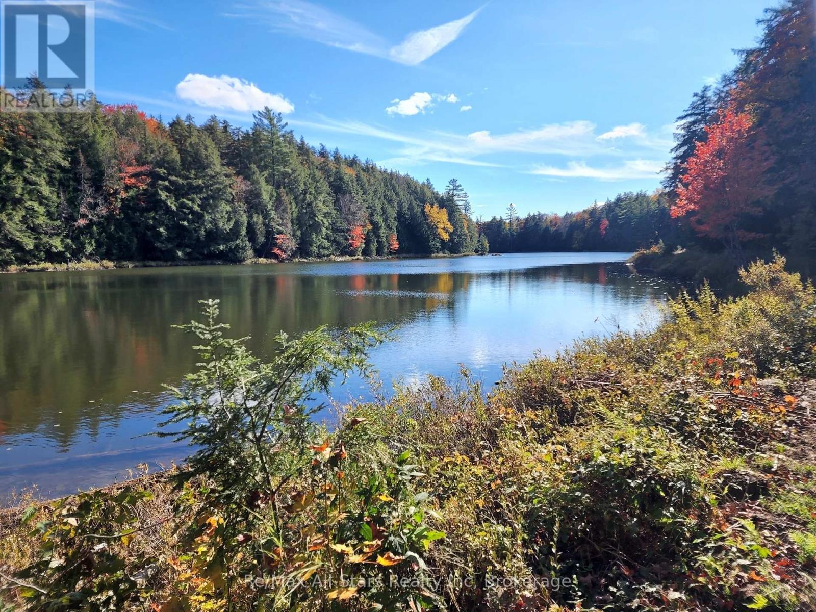 0 Harris Road, Algonquin Highlands, Ontario  P0A 1H0 - Photo 17 - X12415090
