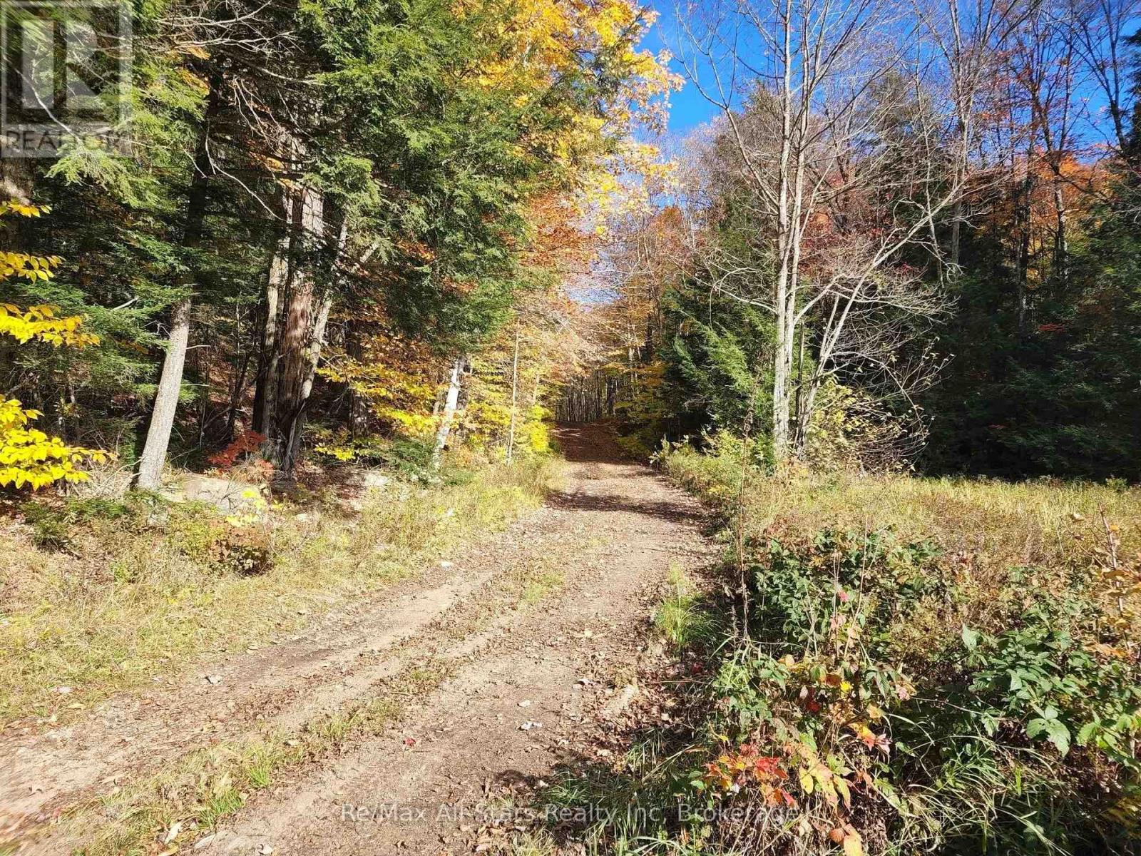 0 Harris Road, Algonquin Highlands, Ontario  P0A 1H0 - Photo 20 - X12415090