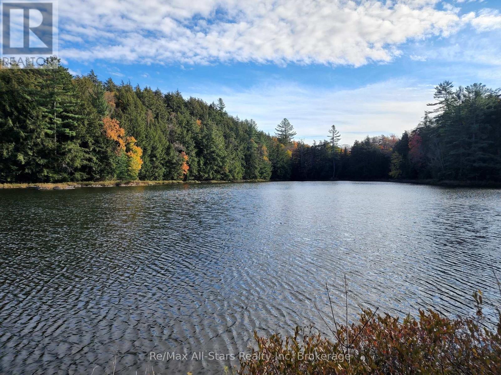 0 Harris Road, Algonquin Highlands, Ontario  P0A 1H0 - Photo 18 - X12415090
