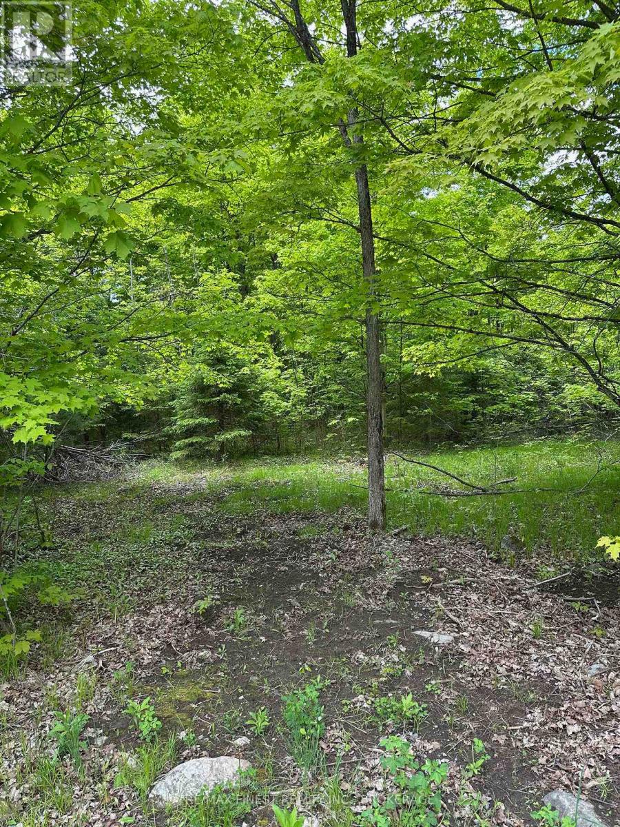 17146 Road 509, Frontenac, Ontario  K0H 2P0 - Photo 2 - X12391907
