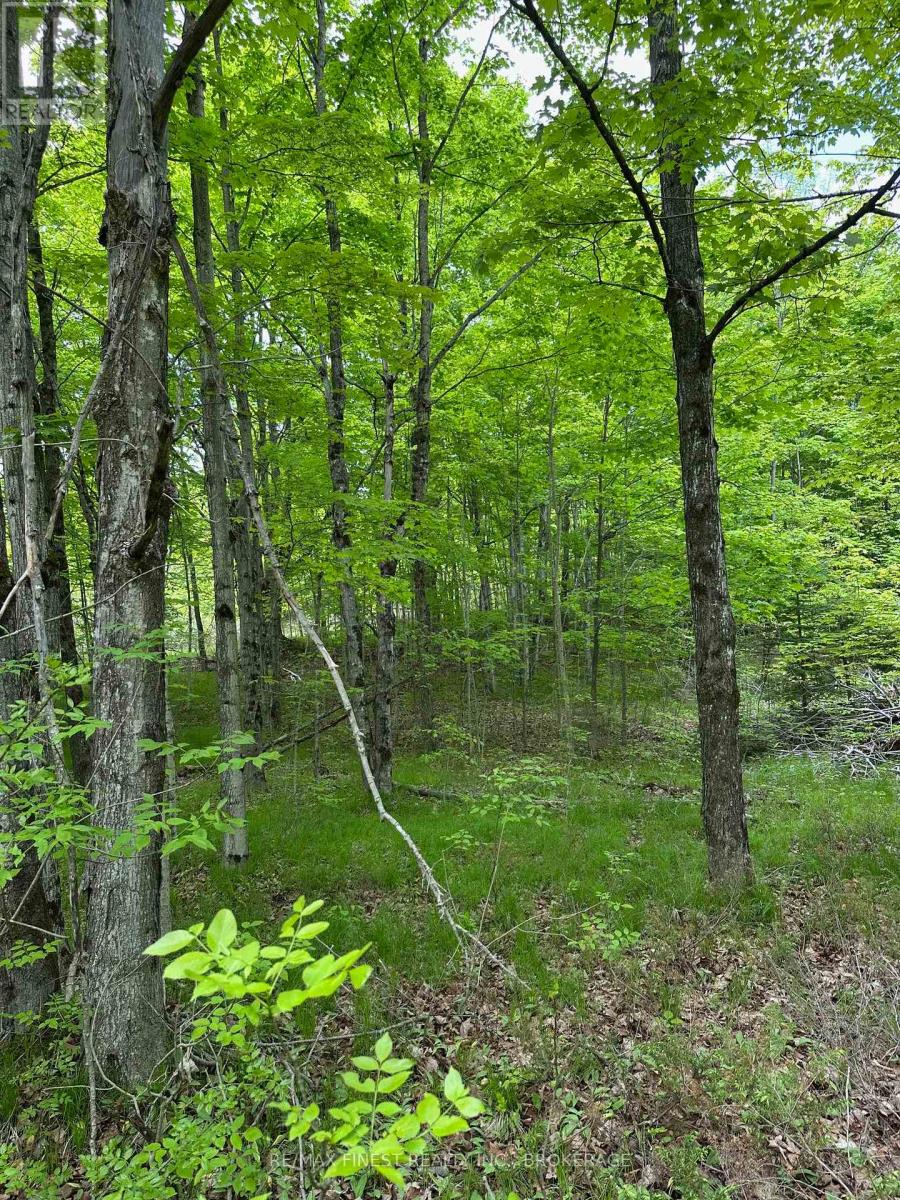 17146 Road 509, Frontenac, Ontario  K0H 2P0 - Photo 3 - X12391907