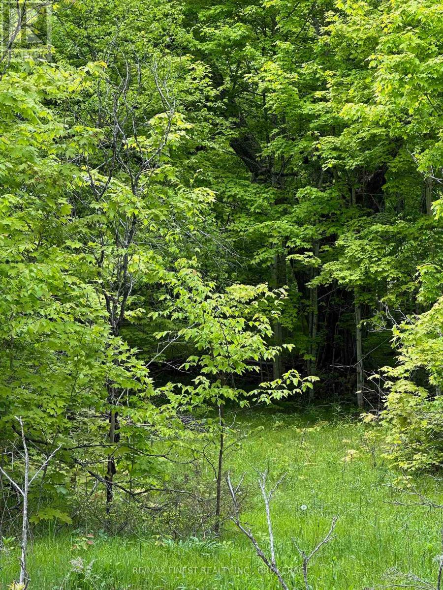 17146 Road 509, Frontenac, Ontario  K0H 2P0 - Photo 4 - X12391907
