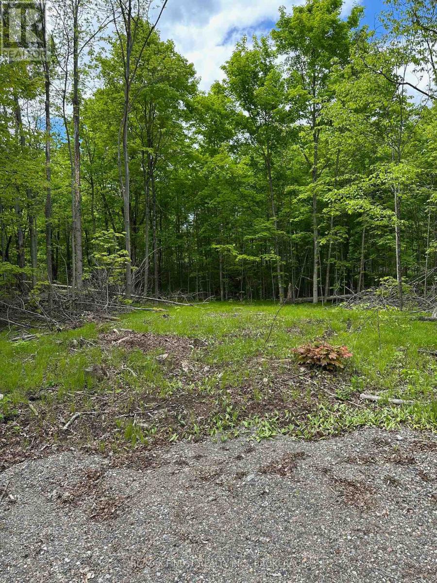 17158 Road 509, Frontenac, Ontario  K0H 2P0 - Photo 3 - X12392689