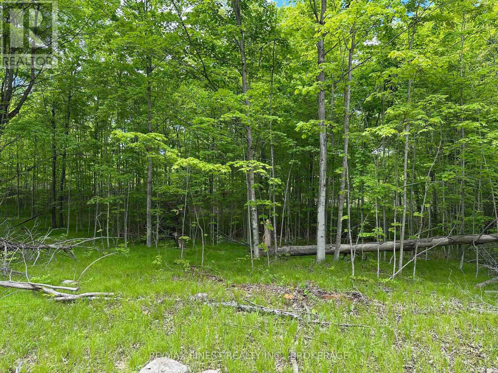 17158 Road 509, Frontenac, Ontario  K0H 2P0 - Photo 4 - X12392689