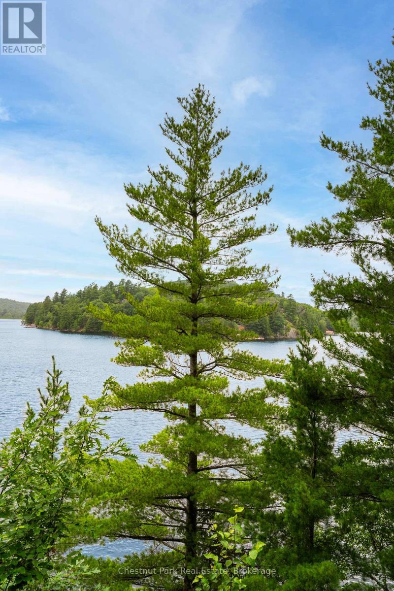 920 Big Island, Huntsville, Ontario  P1H 2J2 - Photo 10 - X12442844