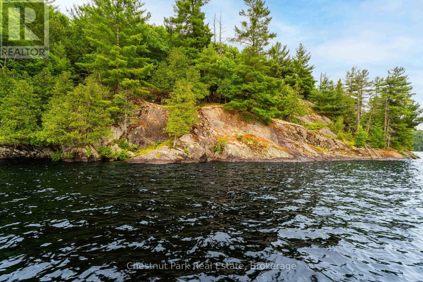 920 Big Island, Huntsville, Ontario  P1H 2J2 - Photo 17 - X12442844