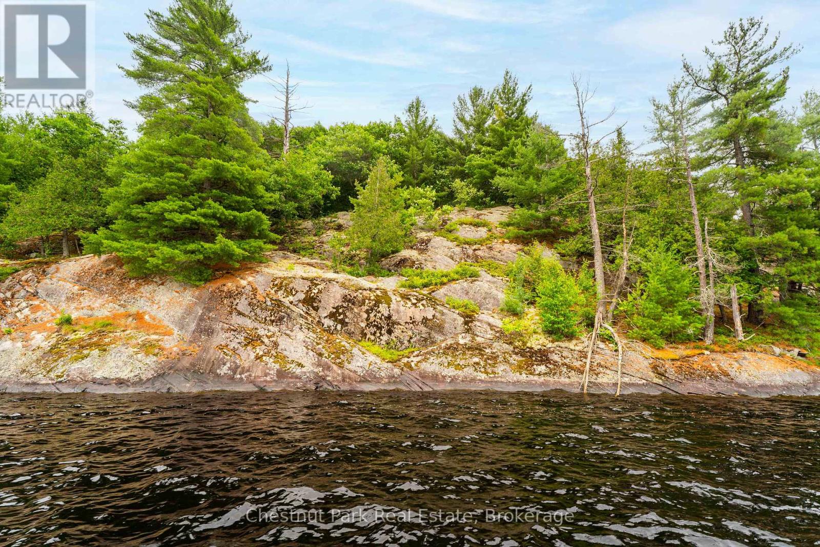 920 Big Island, Huntsville, Ontario  P1H 2J2 - Photo 19 - X12442844