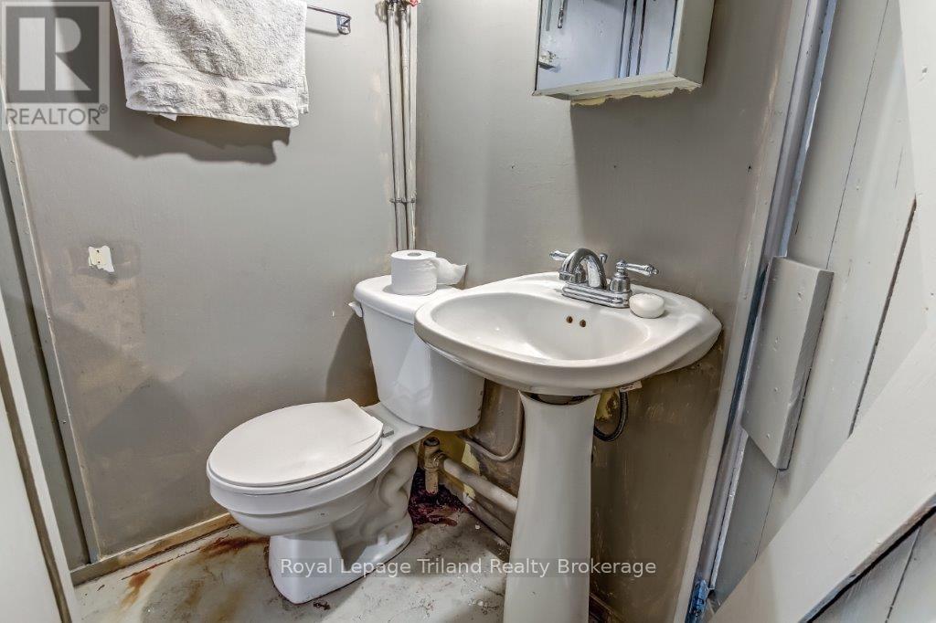 217 Sydenham Street, Woodstock, Ontario  N4S 7B8 - Photo 21 - X12442845