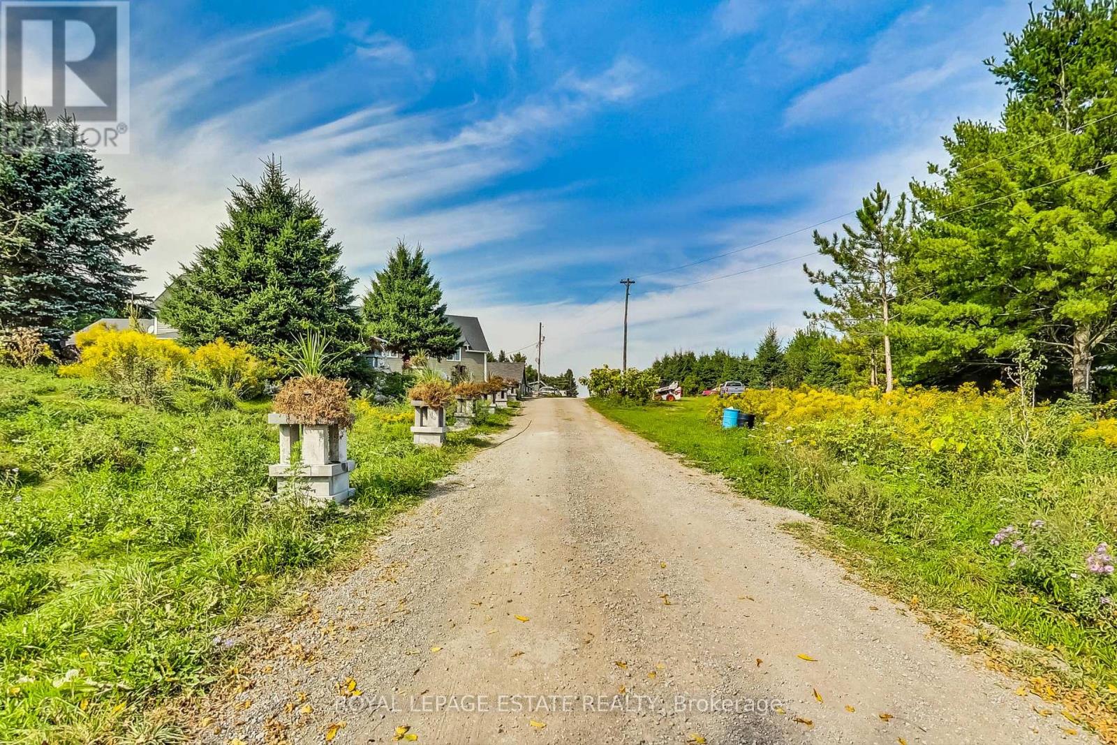 1315 Scugog 2 Line, Scugog, Ontario  L9L 1B3 - Photo 4 - E12442815