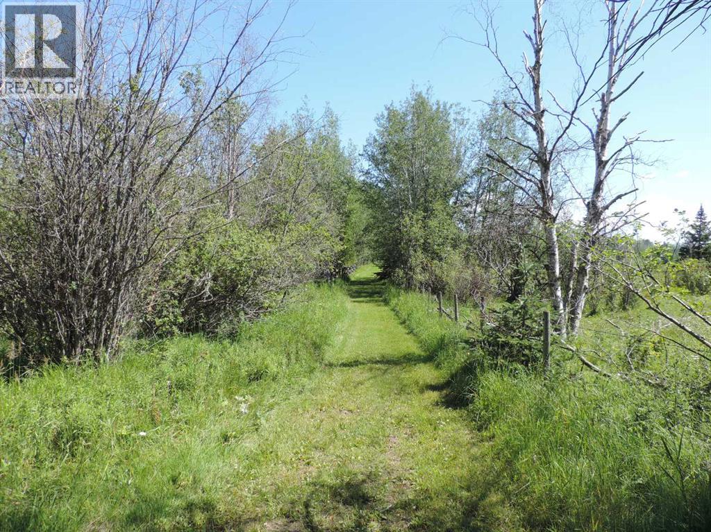 462049 Range Road 33, Rural Wetaskiwin No. 10, Alberta  T0C 2X0 - Photo 38 - A2233610