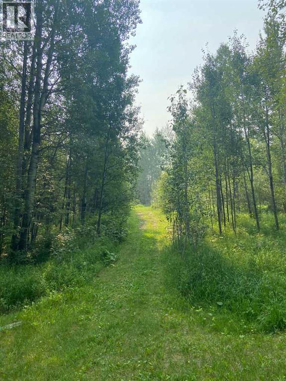462049 Range Road 33, Rural Wetaskiwin No. 10, Alberta  T0C 2X0 - Photo 34 - A2233610