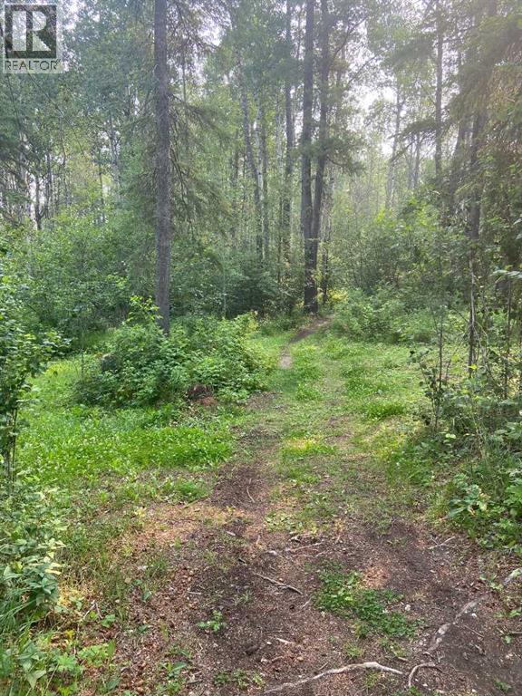 462049 Range Road 33, Rural Wetaskiwin No. 10, Alberta  T0C 2X0 - Photo 33 - A2233610