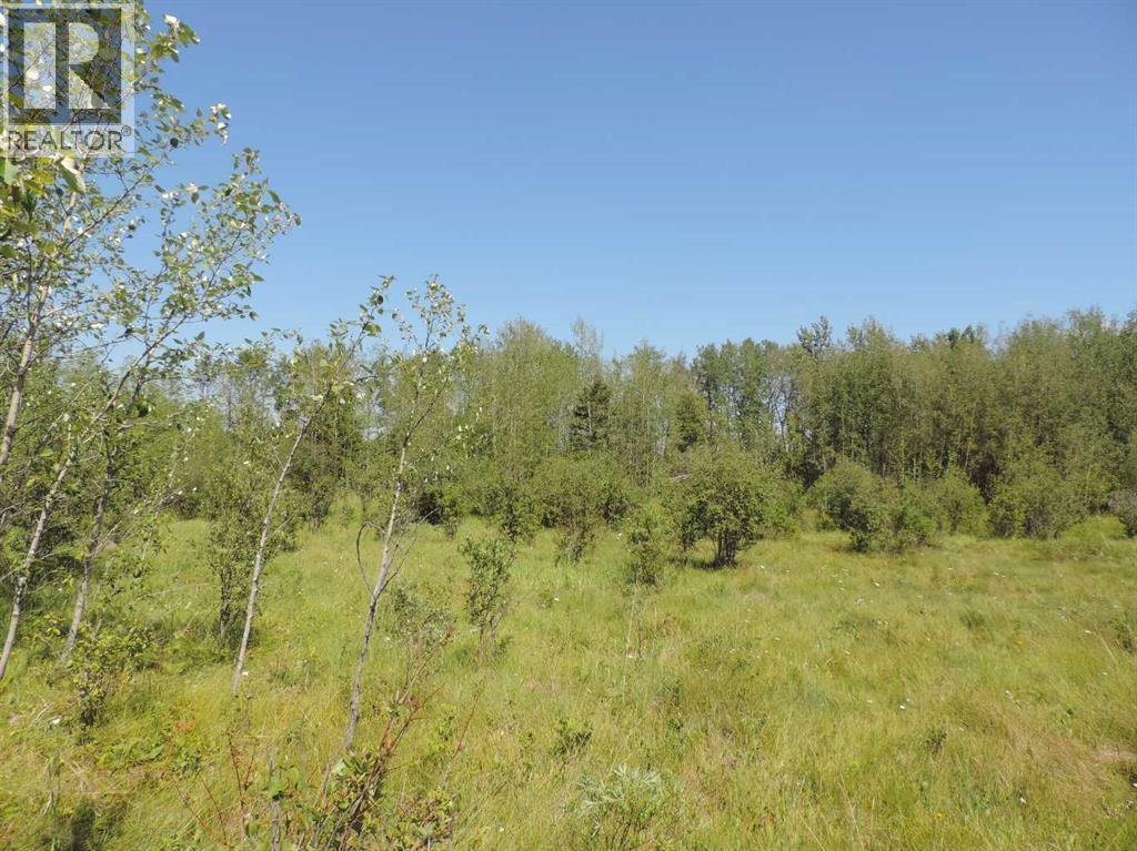 462049 Range Road 33, Rural Wetaskiwin No. 10, Alberta  T0C 2X0 - Photo 41 - A2233610