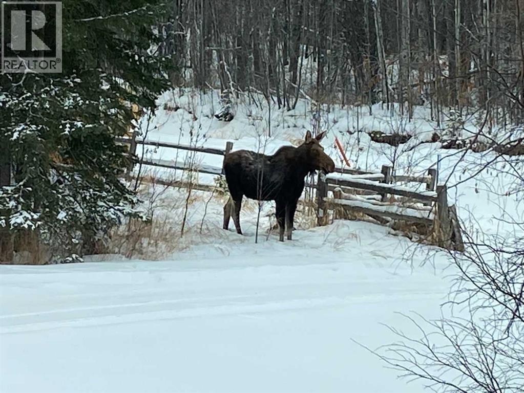 462049 Range Road 33, Rural Wetaskiwin No. 10, Alberta  T0C 2X0 - Photo 27 - A2233610