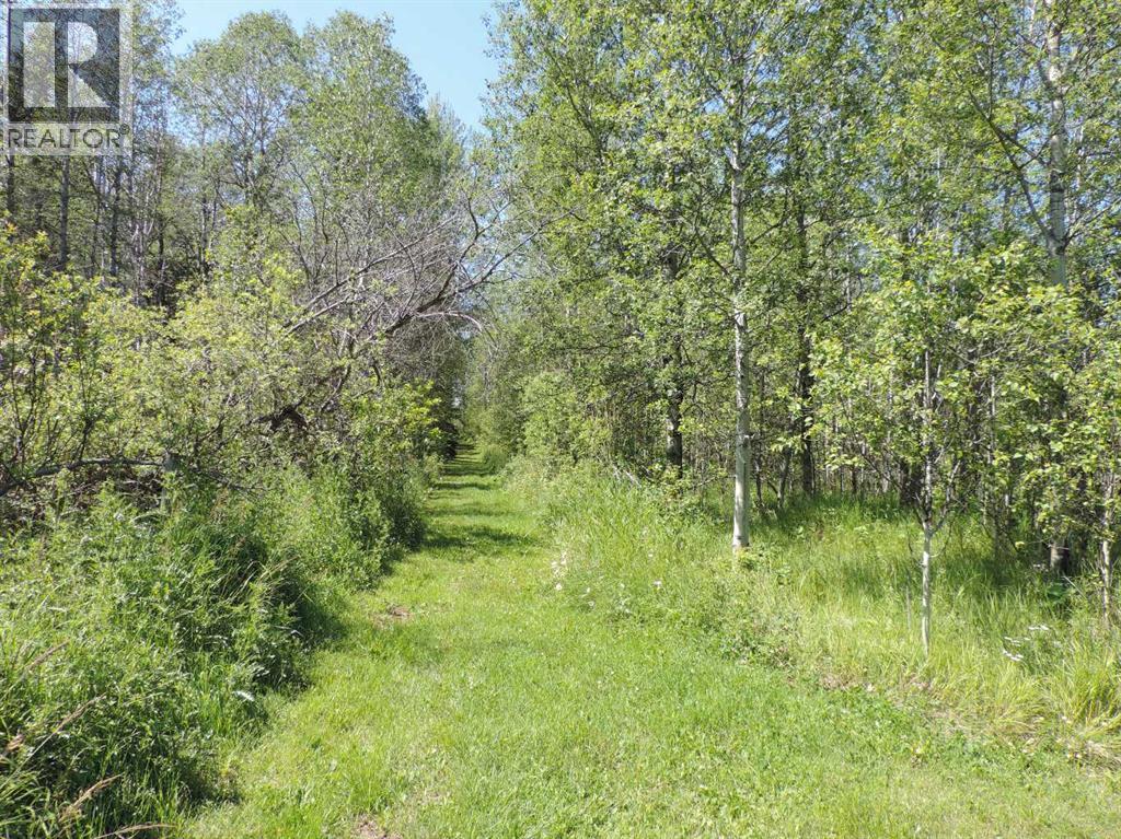 462049 Range Road 33, Rural Wetaskiwin No. 10, Alberta  T0C 2X0 - Photo 37 - A2233610