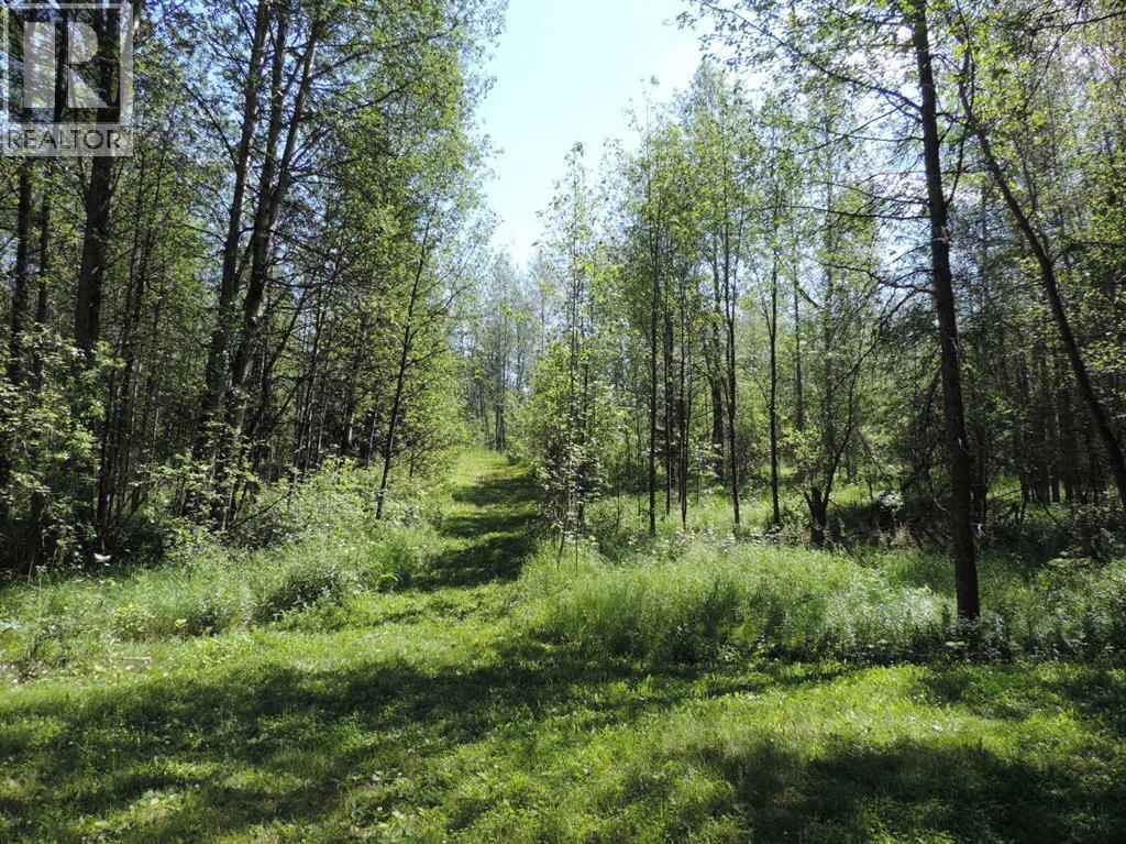 462049 Range Road 33, Rural Wetaskiwin No. 10, Alberta  T0C 2X0 - Photo 43 - A2233610