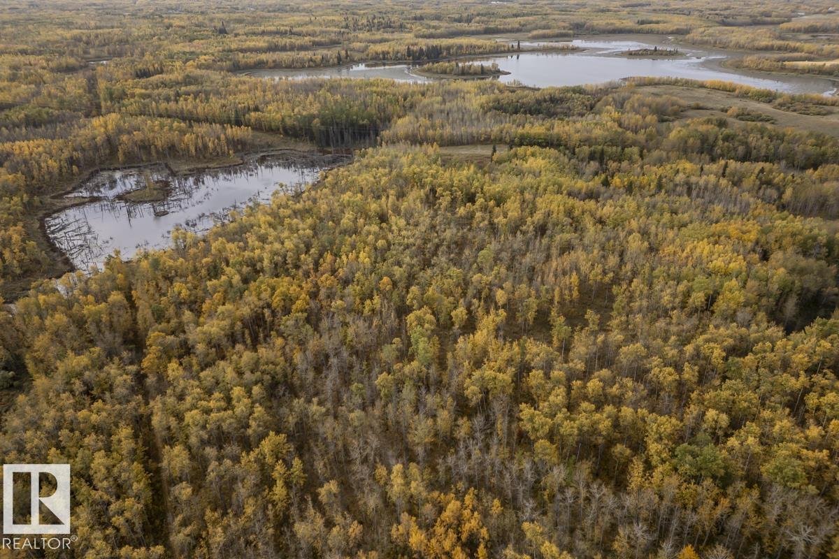 20319 Twp Rd 504, Rural Beaver County, Alberta  T0B 4J2 - Photo 45 - E4460400