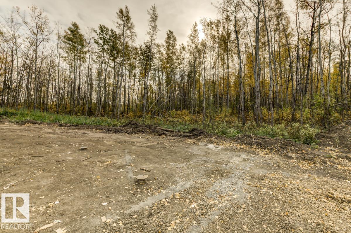 20319 Twp Rd 504, Rural Beaver County, Alberta  T0B 4J2 - Photo 26 - E4460400