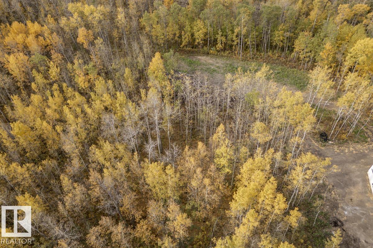 20319 Twp Rd 504, Rural Beaver County, Alberta  T0B 4J2 - Photo 44 - E4460400