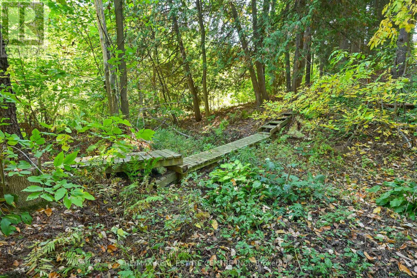 20462 Willoughby Road, Caledon, Ontario  L7K 1V3 - Photo 32 - W12442683